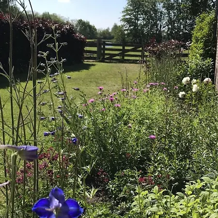 Pax Tibi Bed & Breakfast Reeuwijk