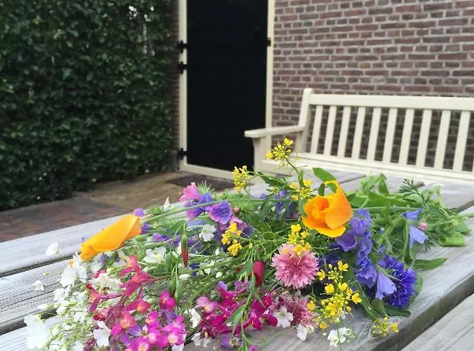 Pax Tibi Nocleg ze śniadaniem