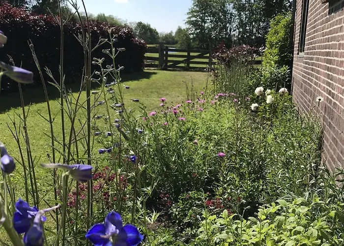 Pax Tibi Bed & Breakfast Reeuwijk